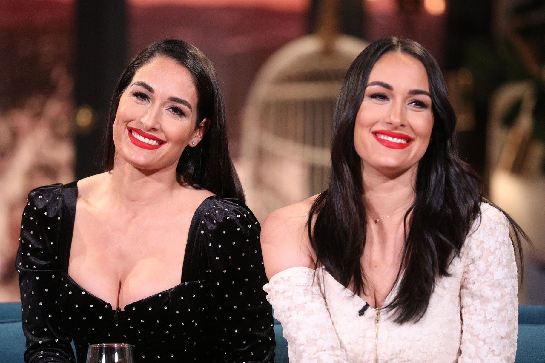 Image of Nikki Bella and Brie Bella