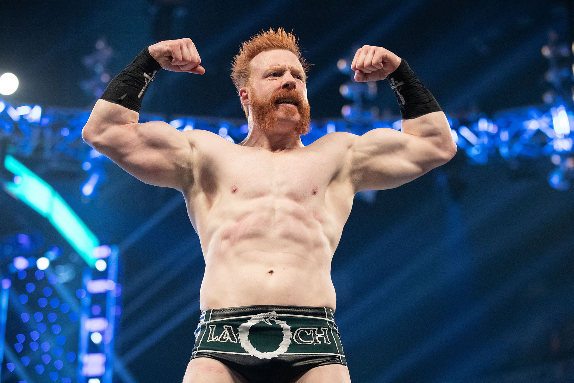 Wwe Sheamus2