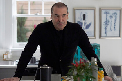 Louis Litt (Rick Hoffman) appears in Season 8 Episode 8 in Suits