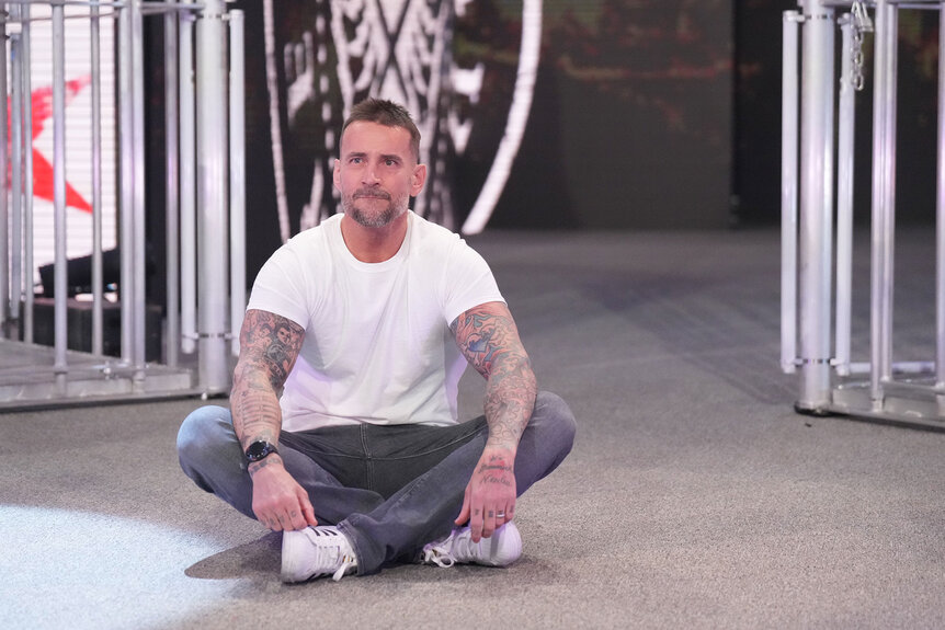 CM Punk appears during WWE Survivor Series